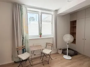Pronájem bytu 1+kk, Praha - Strašnice, Strančická, 24 m2