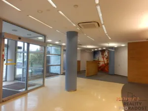 Pronájem obchodního prostoru, Brno, Bubeníčkova, 197 m2