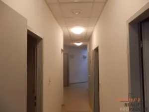 Pronájem obchodního prostoru, Brno, Bubeníčkova, 197 m2