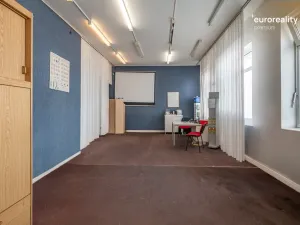 Prodej vícegeneračního domu, Sokolov, U Divadla, 360 m2