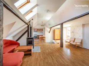 Prodej vícegeneračního domu, Sokolov, U Divadla, 360 m2