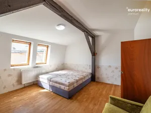 Prodej vícegeneračního domu, Sokolov, U Divadla, 360 m2