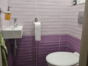 Pronájem bytu 2+1, Olomouc - Hodolany, tř. Kosmonautů, 57 m2