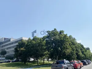 Pronájem bytu 2+kk, Praha, Velvarská, 48 m2