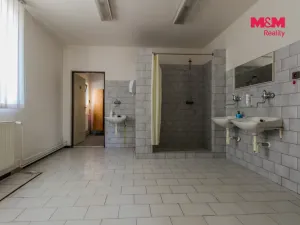 Prodej obchodního prostoru, Jeseník, Moravská, 1051 m2
