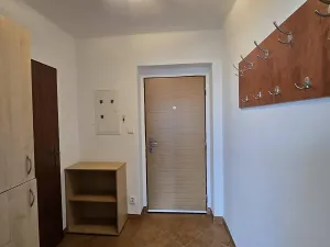 Prodej bytu 1+1, Borotín, 47 m2