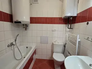 Prodej bytu 1+1, Borotín, 47 m2