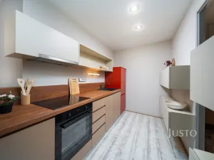 Prodej bytu 2+kk, České Budějovice - České Budějovice 3, B. Smetany, 56 m2