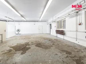 Prodej výrobních prostor, Ostrava - Moravská Ostrava, Pohraniční, 388 m2