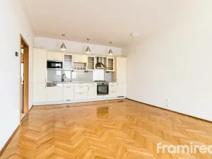 Pronájem bytu 4+kk, Brno, Helfertova, 106 m2