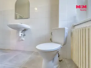 Prodej rodinného domu, Bor, Vítězná, 180 m2