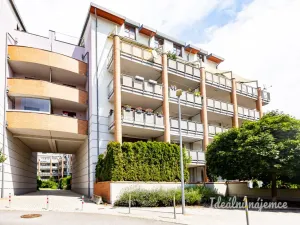 Pronájem bytu 1+kk, Praha - Dejvice, Máslova, 34 m2