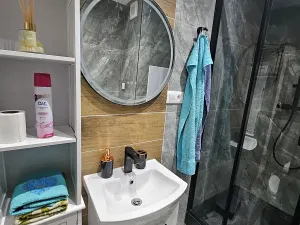 Pronájem bytu 1+1, Český Těšín, Okružní, 38 m2