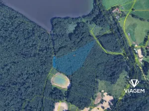Prodej podílu lesa, České Budějovice, České Vrbné, 1879 m2