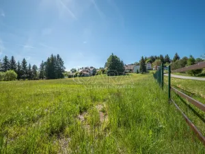 Prodej chalupy, Stachy, 110 m2