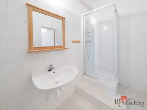 Pronájem bytu 1+1, Ostrava - Mariánské Hory, 28. října, 54 m2