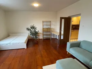 Pronájem bytu 1+1, Mělník, 49 m2