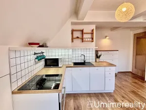Pronájem bytu 1+kk, Praha - Vinohrady, Šrobárova, 50 m2