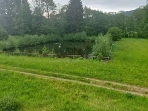 Prodej apartmánu, Písařov - Bukovice, 520 m2