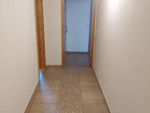 Prodej apartmánu, Písařov - Bukovice, 520 m2