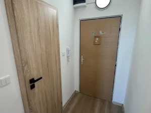 Pronájem bytu 1+1, Chomutov, Pod Břízami, 36 m2