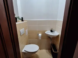Pronájem bytu 4+1, Liberec, Fučíkova, 112 m2