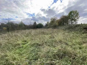 Prodej pozemku, Javorník - Horní Hoštice, 1651 m2