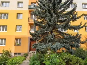 Prodej bytu 3+kk, Praha - Michle, Hodonínská, 55 m2