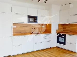 Pronájem bytu 1+kk, Dobřany, Denksteinova, 38 m2