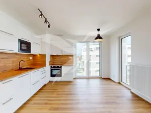 Pronájem bytu 1+kk, Dobřany, Denksteinova, 38 m2
