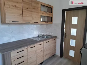 Pronájem bytu 1+1, Ústí nad Labem - Střekov, Mánesova, 25 m2