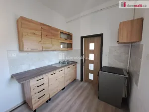 Pronájem bytu 1+1, Ústí nad Labem - Střekov, Mánesova, 25 m2