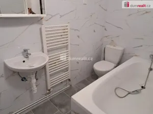 Pronájem bytu 1+1, Ústí nad Labem - Střekov, Mánesova, 25 m2