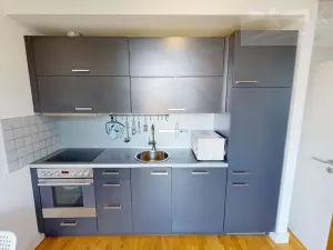 Pronájem bytu 1+kk, Dobříš, U Pivovaru, 31 m2