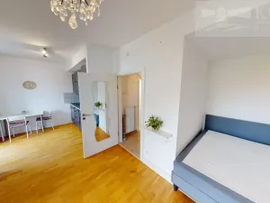 Pronájem bytu 1+kk, Dobříš, U Pivovaru, 31 m2