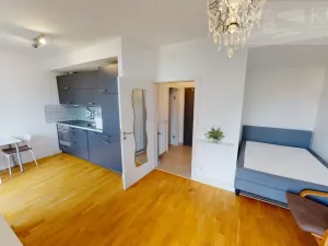 Pronájem bytu 1+kk, Dobříš, U Pivovaru, 31 m2