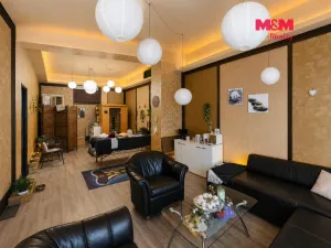 Pronájem obchodního prostoru, Hradec Králové - Pražské Předměstí, Hořická, 55 m2