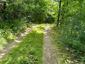 Prodej rybníku, Dačice, 25771 m2