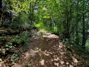 Prodej rybníku, Dačice, 25771 m2