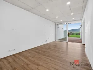 Prodej bytu 3+kk, Dolní Dunajovice, Rudé armády, 60 m2