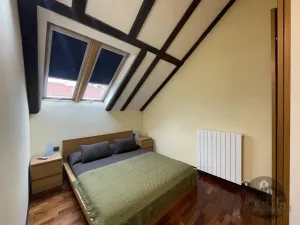Pronájem bytu 4+kk, Praha - Žižkov, Cimburkova, 73 m2