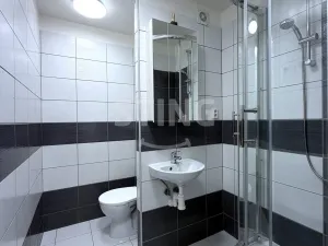 Pronájem bytu 1+1, Ostrava, Volgogradská, 37 m2