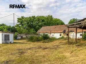 Prodej zemědělského objektu, Počedělice, 2500 m2