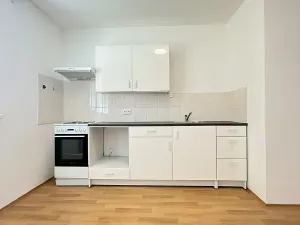 Pronájem bytu 2+kk, Mšené-lázně, Mládežnická, 40 m2