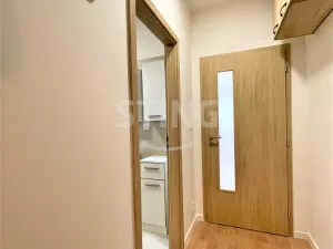 Pronájem bytu 1+kk, Ostrava, Hasičská, 34 m2