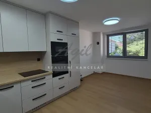 Pronájem rodinného domu, Šlapanice, 47 m2
