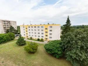 Prodej bytu 2+1, Tábor, Angela Kančeva, 55 m2