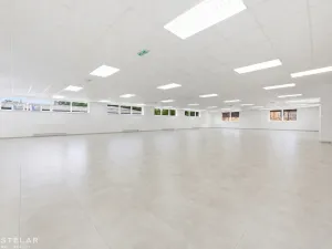 Pronájem obchodního prostoru, Opava, Rybářská, 160 m2