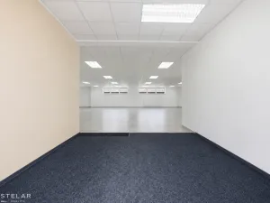 Pronájem obchodního prostoru, Opava, Rybářská, 160 m2