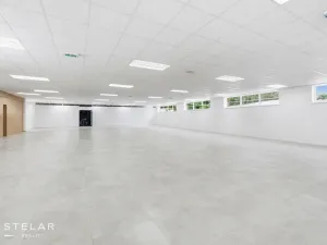 Pronájem obchodního prostoru, Opava, Rybářská, 160 m2